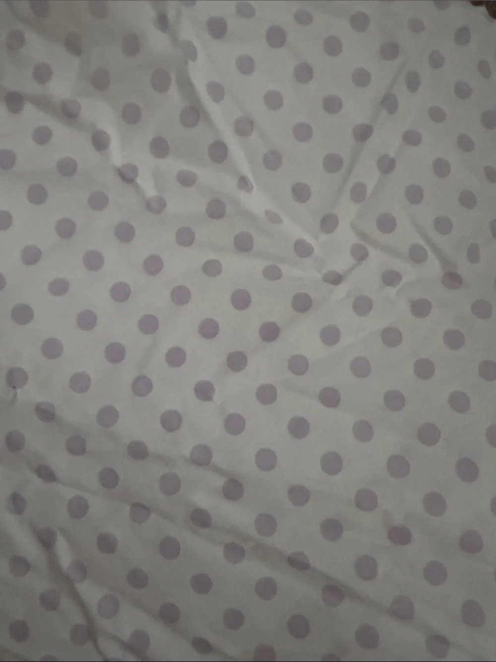 Pottery Barn Kids Lavender Polka Dot 2 Twin Pillow Case